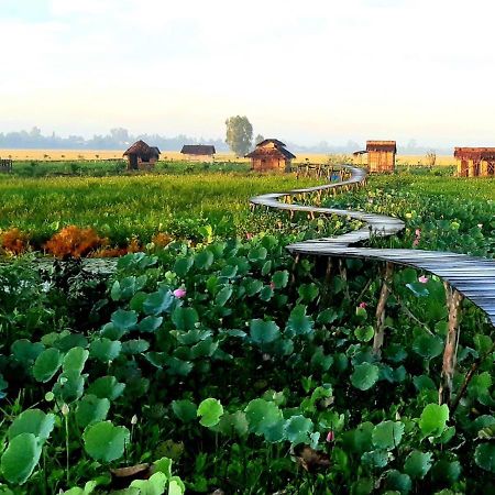 Viet Mekong Farmstay Tram Chim Экстерьер фото